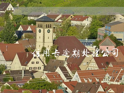 信用卡逾期处理公司 信用卡逾期处理公司