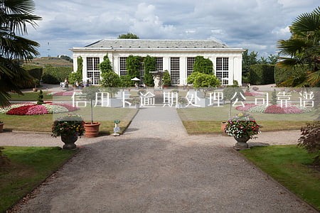 信用卡逾期处理公司靠谱吗