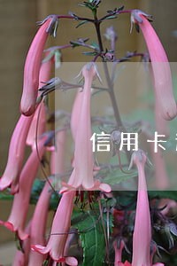 信用卡逾期处理协商 信用卡逾期处理协商