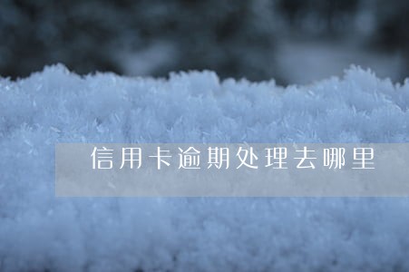 信用卡逾期处理去哪里 信用卡逾期处理去哪里