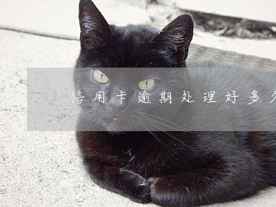 信用卡逾期处理好多久成白户
