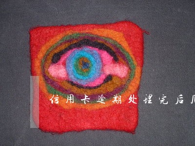 信用卡逾期处理完后几年能申请