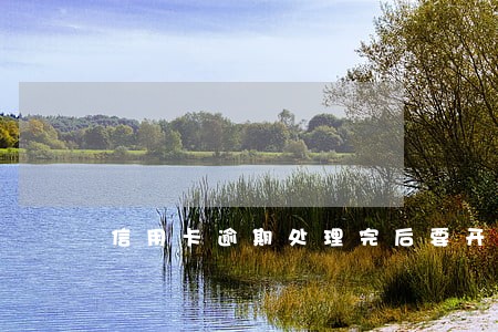 信用卡逾期处理完后要开代偿证明 信用卡逾期处理完后要开代偿证明