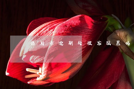 信用卡逾期处理客服累吗 信用卡逾期处理客服累吗