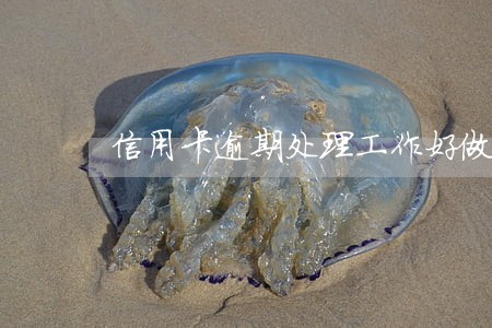 信用卡逾期处理工作好做吗 信用卡逾期处理工作好做吗