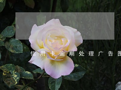 信用卡逾期处理广告图 信用卡逾期处理广告图