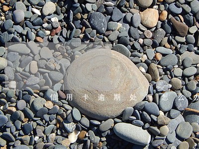 信用卡逾期处理怎么办会坐牢吗 信用卡逾期处理怎么办会坐牢吗
