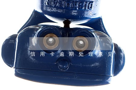 信用卡逾期处理意见