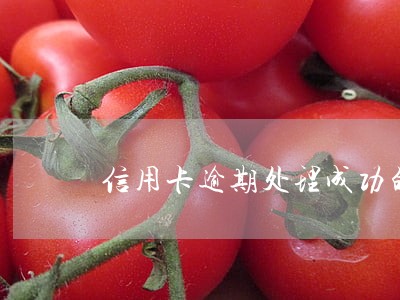 信用卡逾期处理成功的案例上海