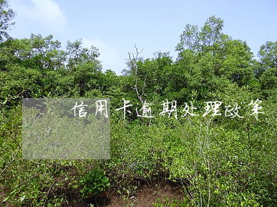 信用卡逾期处理政策 信用卡逾期处理政策