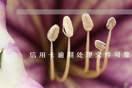 信用卡逾期处理文件可靠吗 信用卡逾期处理文件可靠吗