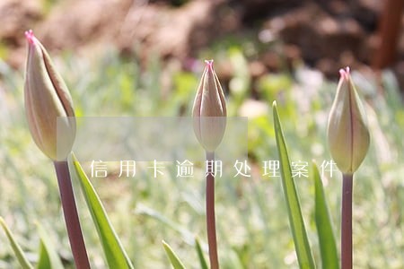 信用卡逾期处理案件 信用卡逾期处理案件