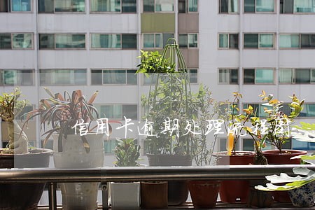 信用卡逾期处理流程图 信用卡逾期处理流程图
