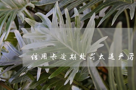 信用卡逾期处罚太过严厉 信用卡逾期处罚太过严厉