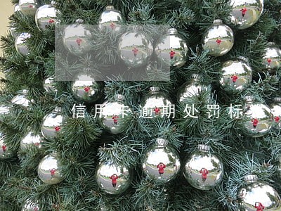 信用卡逾期处罚标准