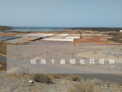 信用卡逾期处罚规则 信用卡逾期处罚规则