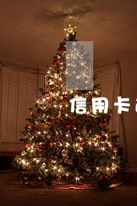 信用卡逾期备案审查 信用卡逾期备案审查