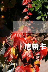 信用卡逾期备案是什么意思