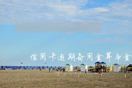 信用卡逾期备用金算本金吗 信用卡逾期备用金算本金吗