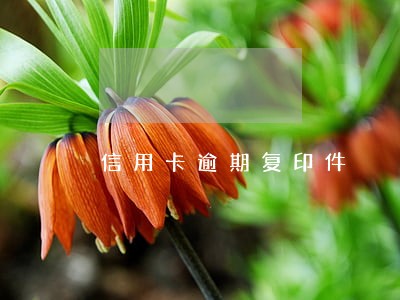信用卡逾期复印件 信用卡逾期复印件
