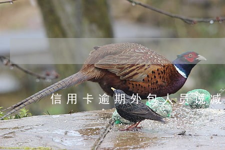 信用卡逾期外包人员说减免 信用卡逾期外包人员说减免