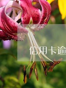 信用卡逾期外包什么意思 信用卡逾期外包什么意思
