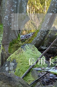 信用卡逾期外包催收 信用卡逾期外包催收