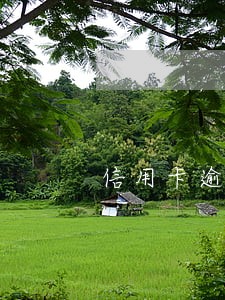 信用卡逾期外包公司总是恐吓我