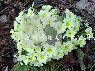 信用卡逾期外包公司让去银行面谈