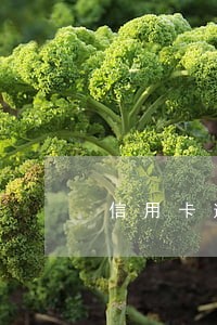 信用卡逾期外包去家里可以报警吗