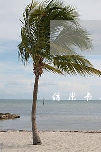 信用卡逾期外包申请 信用卡逾期外包申请