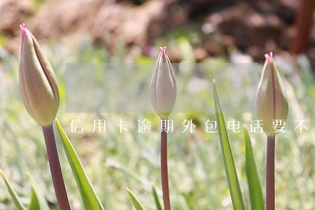 信用卡逾期外包电话要不要接 信用卡逾期外包电话要不要接