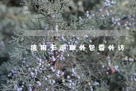 信用卡逾期外包要外访 信用卡逾期外包要外访
