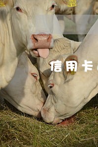 信用卡逾期外呼成功经验分享 信用卡逾期外呼成功经验分享
