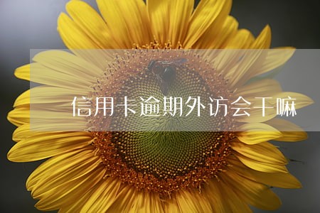 信用卡逾期外访会干嘛 信用卡逾期外访会干嘛