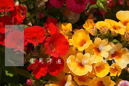 信用卡逾期外访小组让父母签字 信用卡逾期外访小组让父母签字