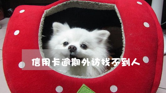信用卡逾期外访找不到人