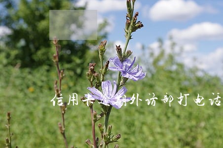 信用卡逾期外访部打电话 信用卡逾期外访部打电话