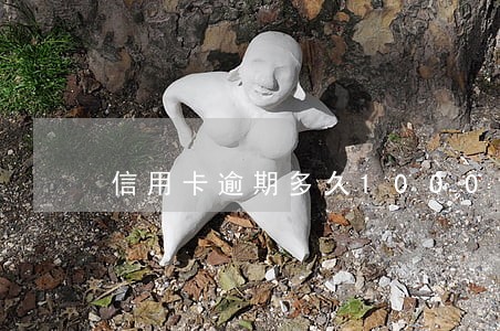 信用卡逾期多久1000元 信用卡逾期多久1000元