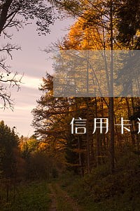 信用卡逾期多久上失信名单 信用卡逾期多久上失信名单