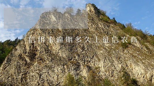 信用卡逾期多久上征信农商 信用卡逾期多久上征信农商