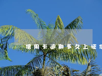 信用卡逾期多久上征信工商银行 信用卡逾期多久上征信工商银行