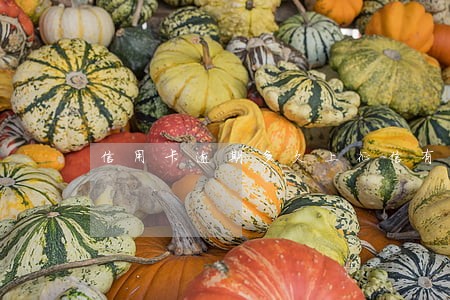 信用卡逾期多久上征信有影响 信用卡逾期多久上征信有影响