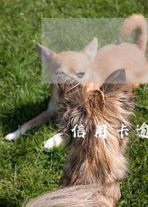 信用卡逾期多久上有黑名单 信用卡逾期多久上有黑名单