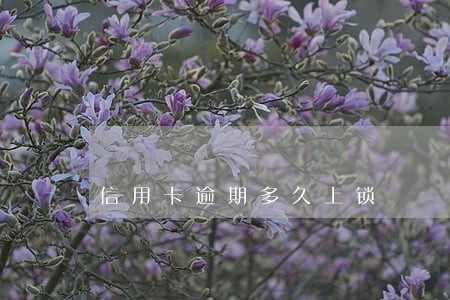 信用卡逾期多久上锁 信用卡逾期多久上锁
