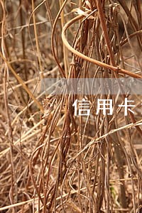 信用卡逾期多久上门催账 信用卡逾期多久上门催账