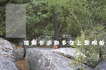 信用卡逾期多久上黑明单 信用卡逾期多久上黑明单