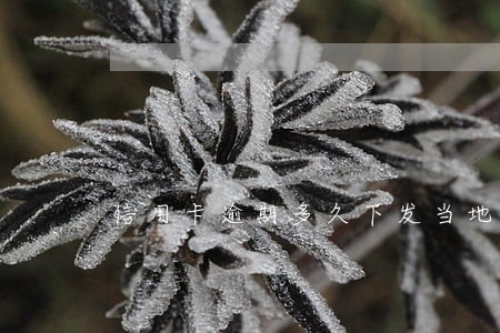 信用卡逾期多久下发当地 信用卡逾期多久下发当地