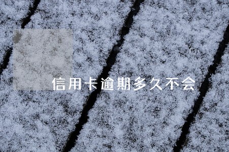 信用卡逾期多久不会