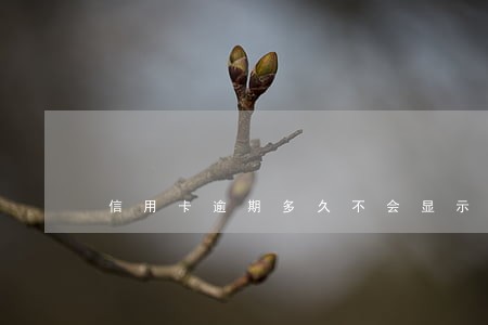 信用卡逾期多久不会显示 信用卡逾期多久不会显示